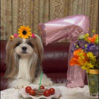 rishya(リーシャ) (@rishyayou) 's Twitter Profile