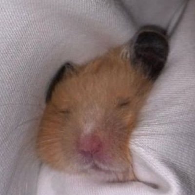 Chihanabi_'s profile picture. 🫶 그사람.