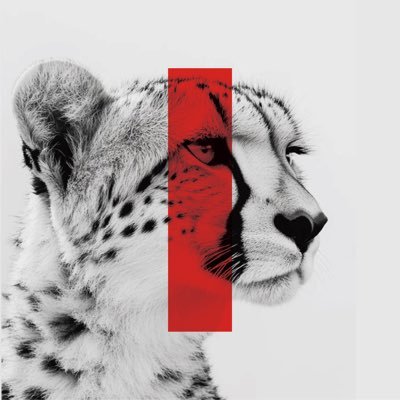 UIGET_BMC's profile picture. Expert in Automotive Channel Ecosystems and Strategic Consulting 全球汽车产业渠道生态与战略咨询专家