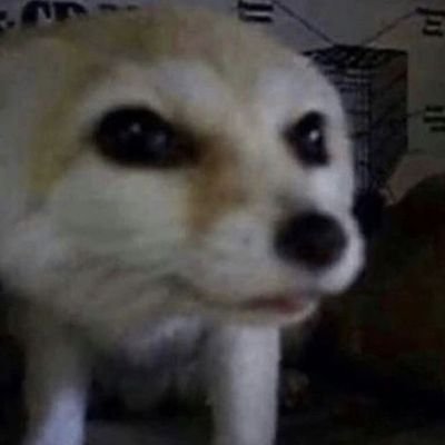 05yureii's profile picture. private stuff, i follow friends, moots. || main: @01chuuniisan || ic: fennec fox