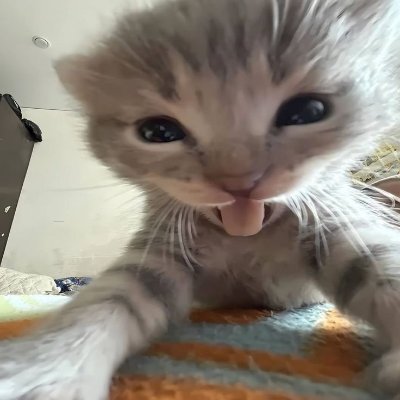 72_sever6719's profile picture. 