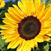 Ifenkili (@ifenkili27) 's Twitter Profile Photo