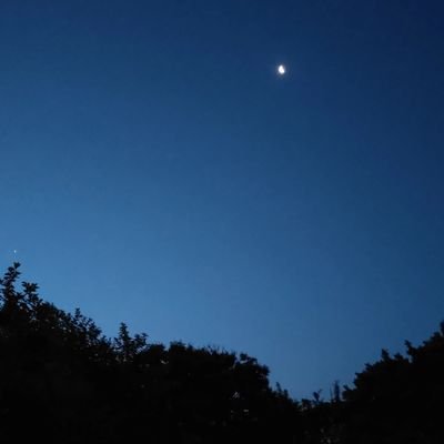 2kimimitsuha_31's profile picture. worldproof
少しずつ詠んでます。おすすめの歌集を教えてください。