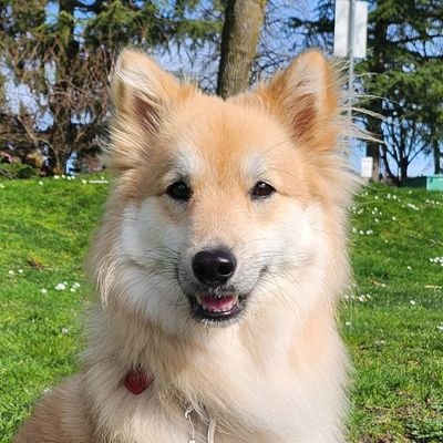 오늘의 포춘🥠 Profile