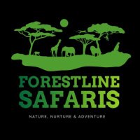 Forestline (@forestlinekenya) 's Twitter Profile Photo Forestline (@forestlinekenya) 's Twitter Profile Photo