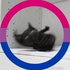 TTTTTRACYさんのプロフィール画像