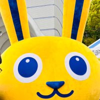 AZM(あずま)🐰国民民主党 (@azm28kokuminmin) 's Twitter Profile Photo