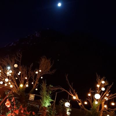 Abdullah12_2020's profile picture. ‏‏‏أرى بعيوني لا بعيون غيري، وأسمع بؤذنيّ لا بؤذنيّ غيري، وأفهم بعقلي لا بعقل غيري، وبالتالي هذا ما يقودني ولا يقودني غيري، ولو وافقت غيري .