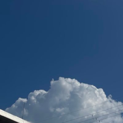 katta_nijan's profile picture. 成人済み／見る専です(；；)