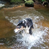 Bartho (@barthyolo) 's Twitter Profile