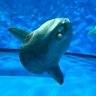 imSunny55's profile picture. 🌏Positive vibes only🏝️ 東南アジアを漂い、海のシルクロードを子供達と歩む / これまでの移住・親子留学先: セブ、ダバオ、ペナン、高雄、昆明、杭州 / 更年期からの学び直し