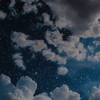 D712 (@d71priv) 's Twitter Profile