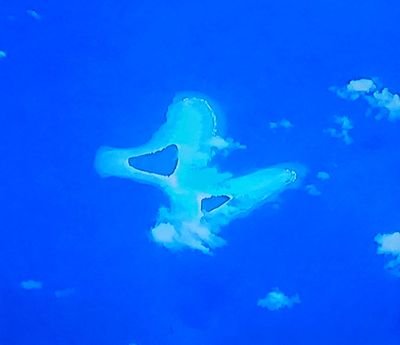 co11652743's profile picture. 