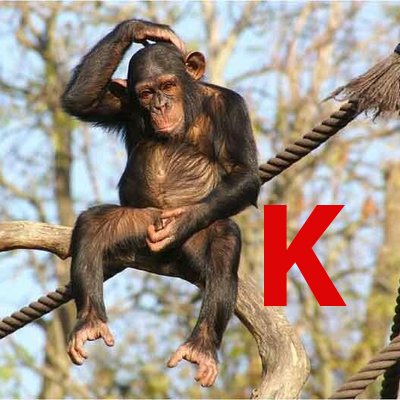 GreekAmerican e- News. Informative & Satirical... Ενημέρωση, αποκαλύψεις, σάτιρα κ.ά. Στο διαδίκτυο από Φεβ. 1994. 'Eδρα ΗΠΑ.