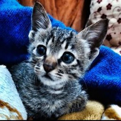 RaimaKaim's profile picture. 