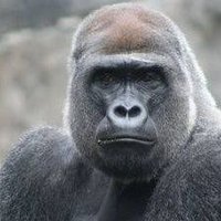 あう (@nmqmeratrq77840) Twitter profile photo