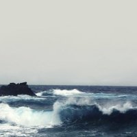 - (@lxwc_1) 's Twitter Profile