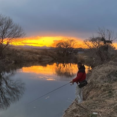 4293x's profile picture. チー牛なんで優しくして下さい   apexやってます