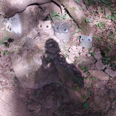 charinkowasshoi's profile picture. 家庭連合信教2世　2020年💍