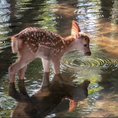 6CpXG9K0Lb16396's profile picture. .