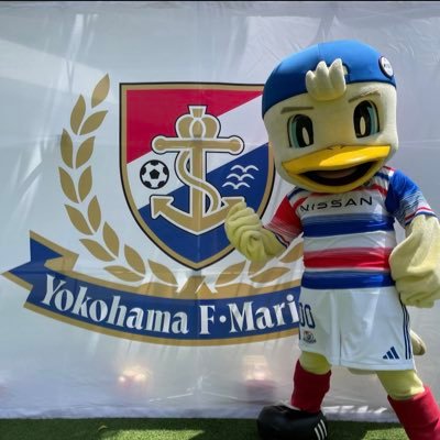 DrM7jp's profile picture. 🇫🇷横浜Fマリノスを応援していますYFM🇫🇷J1残留🙇