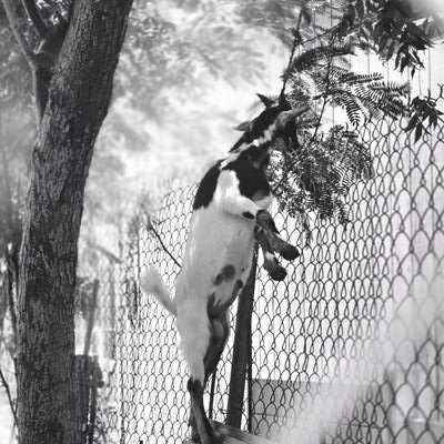 Mandixlee's profile picture. I make post its.