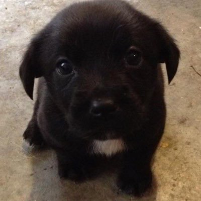 JS_bin61277's profile picture. 헤맨 만큼 전부 다 내 땅