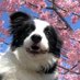 lsinniy (@lsinilsinixi71) Twitter profile photo lsinniy (@lsinilsinixi71) Twitter profile photo