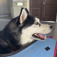 MC (@mc9527777) 's Twitter Profile