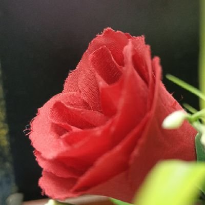 OmarFaruqu46801's profile picture. 