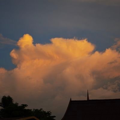 alohanadood's profile picture. อายุ 35
ไม่นัดครับ
ว่าวอย่างเดียว