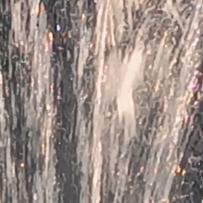 silici1216's profile picture. belki birgün