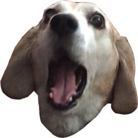 i_ze123's profile picture. 犬が呟いてると思えばかわいいもんやろ？ 残念馬でした。犬に戻りました 本垢→@ALazybonez