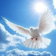 RealOGCampbell's profile picture. My posts are about God & Accountability. I hold everyone accountable! Am neither a Republican nor a Dem. My loyalty is to Christ, and Christ alone. Be Wise❤️