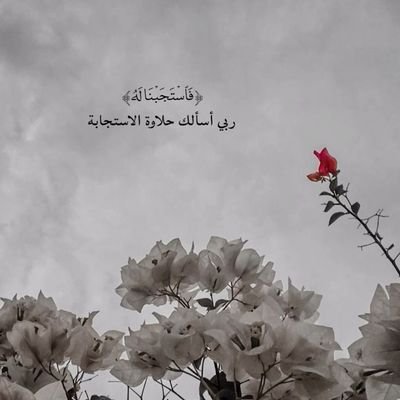 wa6799's profile picture. سبحان الله وبحمده سبحان الله العظيم 🥀🤍