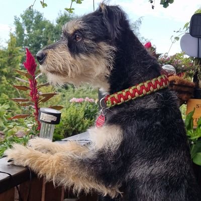 Hpk190179's profile picture. 