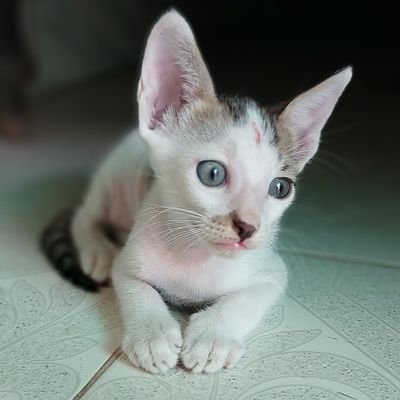 raw74253647's profile picture. 