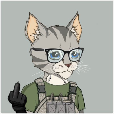 open_A1's profile picture. ⚙️