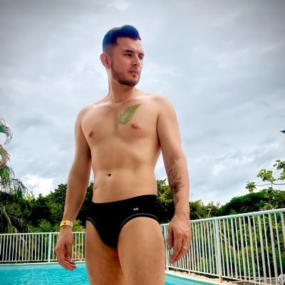 William_Petrova's profile picture. ing Ambiental , compositor , Cantante