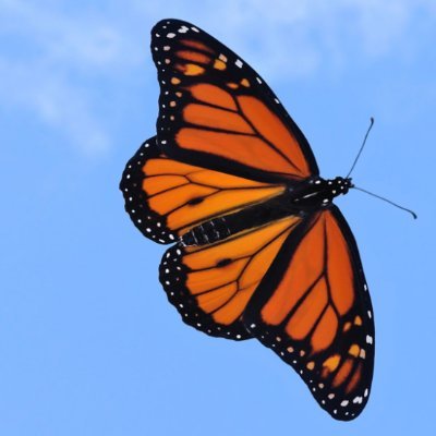 Jyoti8233953873's profile picture. Be grateful to god for everything !