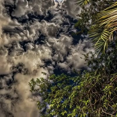 Aqlzy70710's profile picture. فحل من صنعاء انيق و شخصيه والاهم صادق وجاد جداً