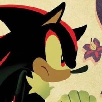 shxd0wwz's profile picture. #1 Sonic fan!!! • don’t hate me cause you ain’t me ♥️ • talk to me about Sonic,The Rookie, MHA, Dr Stone, and TAD!!