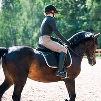 Iris Devereux (@roamplates) 's Twitter Profile