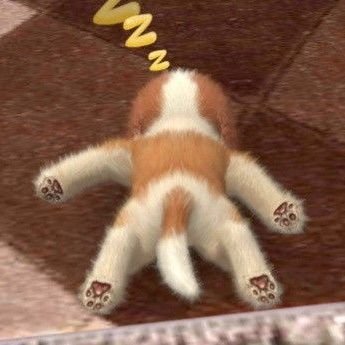 hamsng222's profile picture. 