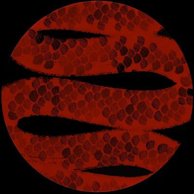 vincetenさんのプロフィール画像