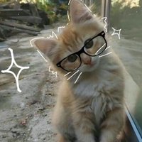 Lily (@sprinkle1235) 's Twitter Profile