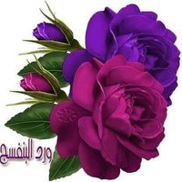 زهرة البنفسج (@awataf787) 's Twitter Profile