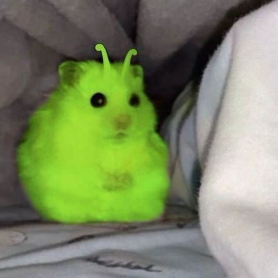 CenturyK2's profile picture. 