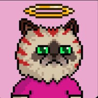 Bee (@msmollyb13) 's Twitter Profile