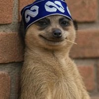 SirCryptominner (@sirjames31) 's Twitter Profile